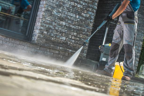 Best Gutter Cleaning  in Niwot, CO