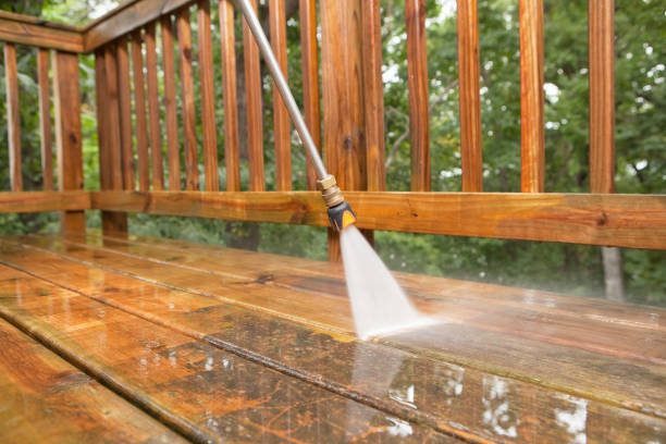 Best Dumpster Area Cleaning  in Niwot, CO